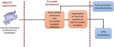 The Impact of Left Atrium Appendage Morphology on Stroke Risk Assessment in Atrial Fibrillation: A Computational Fluid Dynamics Study